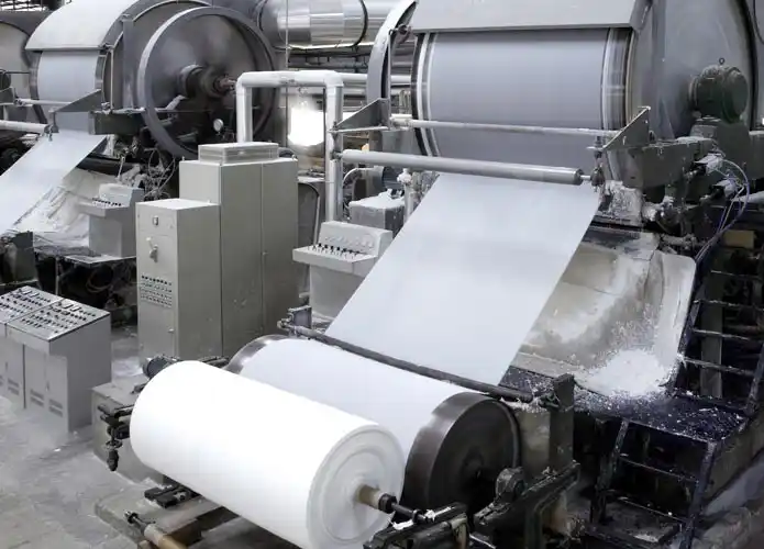 Pulp paper